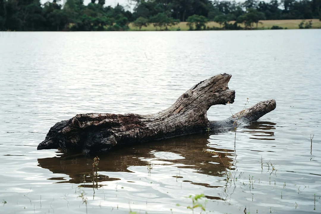 Bazi ideal work environment Can Bazi Reveal Your Ideal Work Environment? chinese metaphysics illustration abstract energy