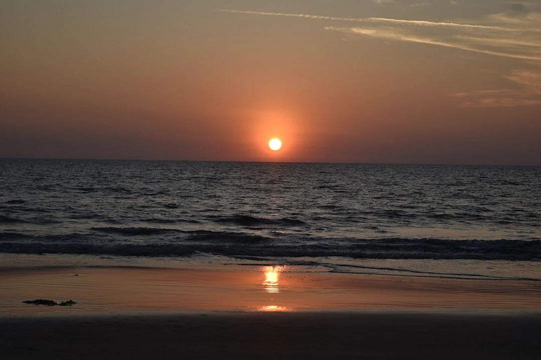 astrological element influence confidence Can Your Element Influence Your Confidence? chinese metaphysics illustration zen style