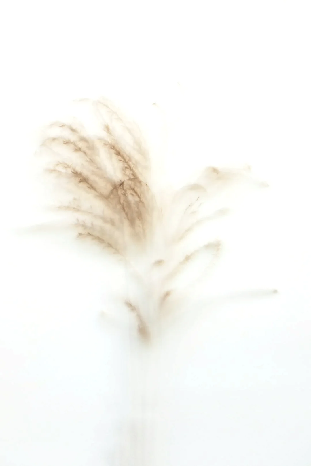 Bazi How Can Bazi Reveal Hidden Financial Talent? chinese metaphysics illustration zen style