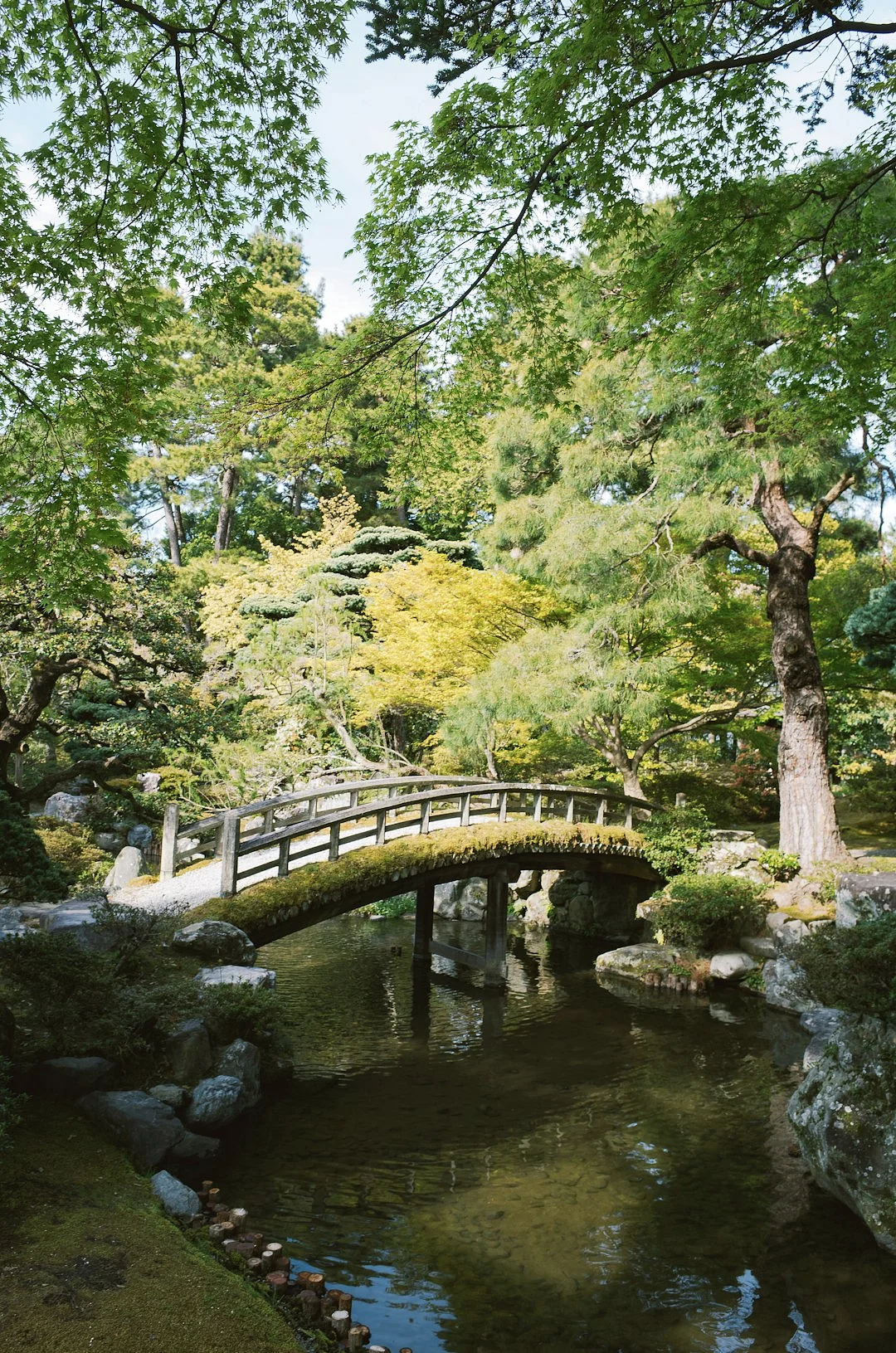 Talentos Ocultos Desbloquee tus talentos ocultos con Bazi: Despierta tu potencial chinese metaphysics illustration abstract energy