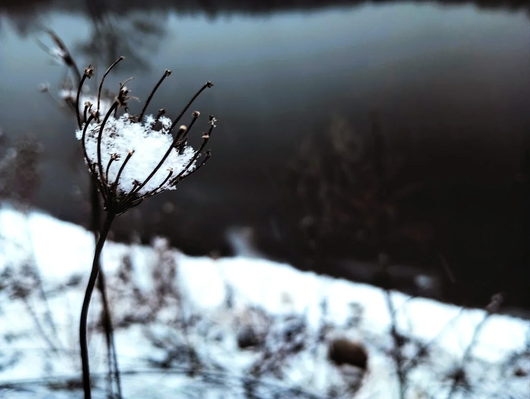 Bazi entrepreneurial ability How Can Bazi Show Entrepreneurial Ability? chinese metaphysics illustration zen style