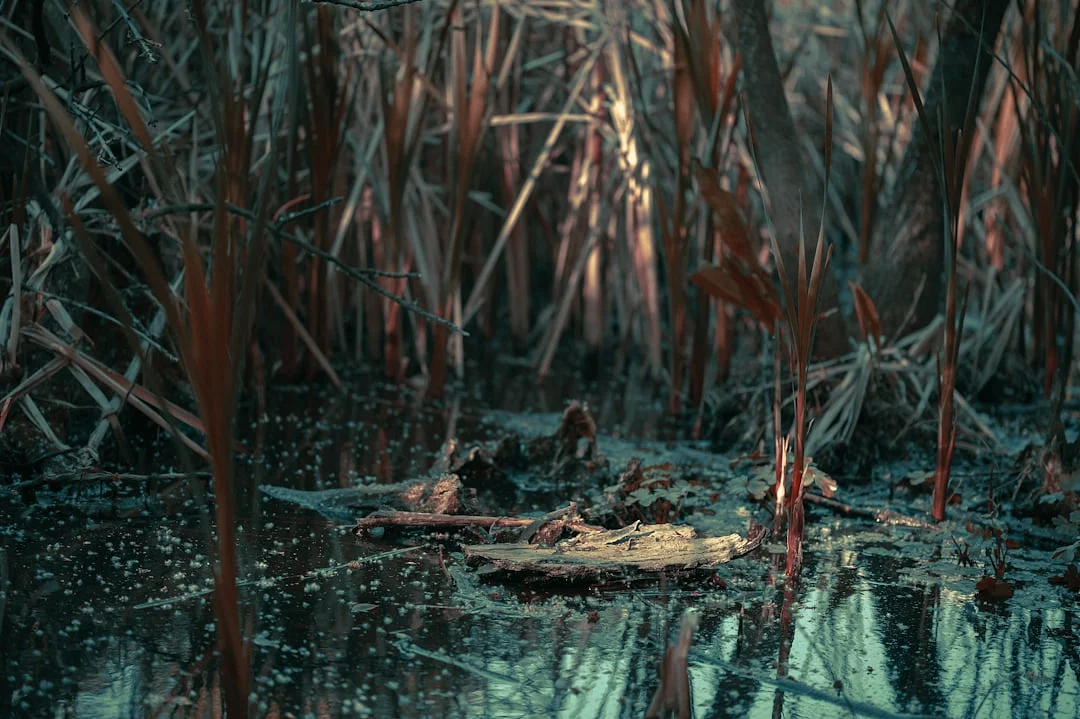 Balanced Elements How Do Balanced Elements Affect Personality? chinese metaphysics illustration abstract energy