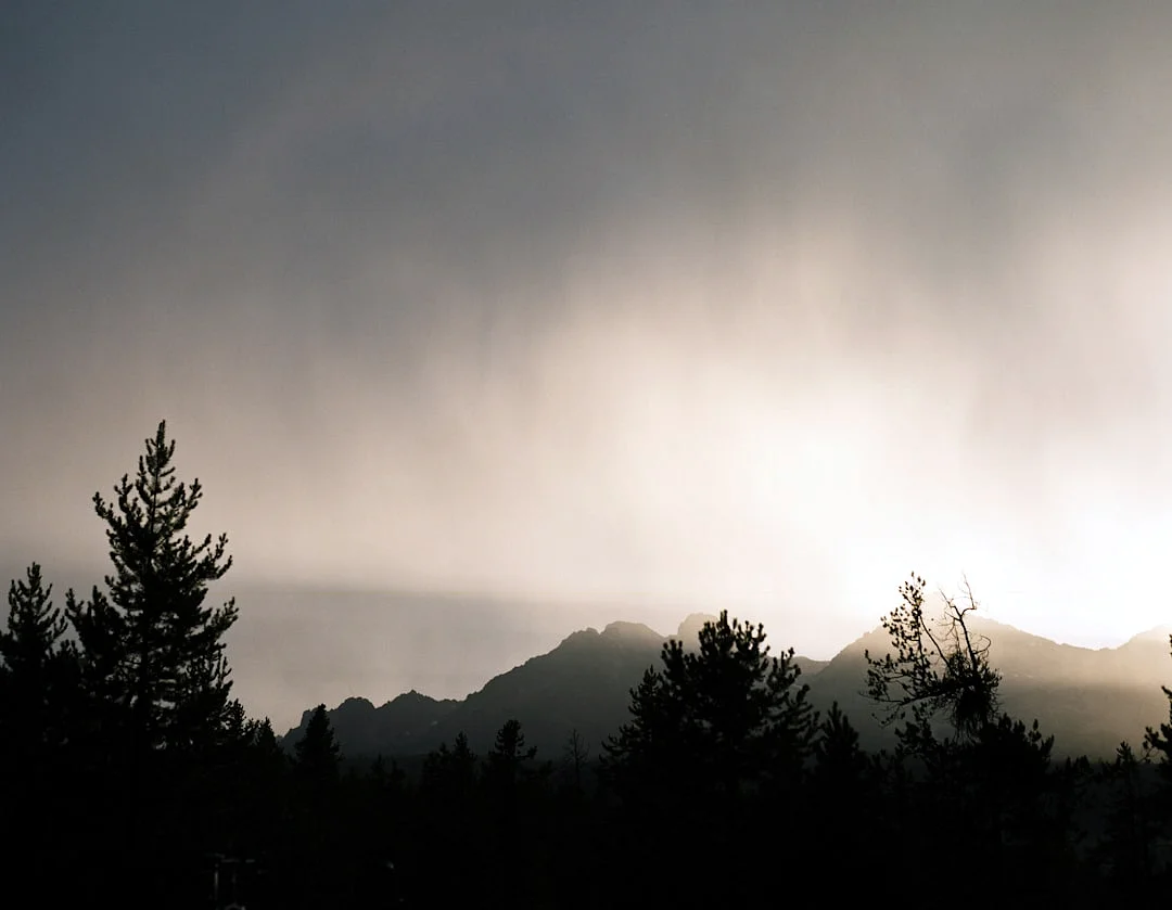 Element Clashes Financial Luck How Do Element Clashes Affect Financial Luck? chinese metaphysics illustration zen style