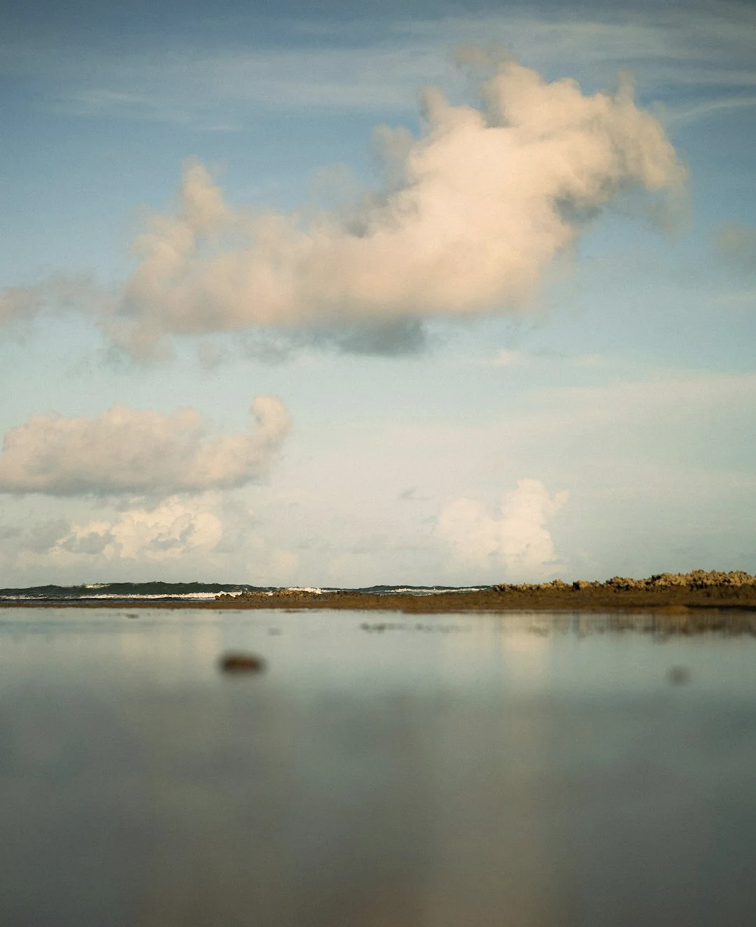 Suerte Financiera ¿Cómo los elementos influyen en la suerte financiera en la metafísica de Bazi? chinese metaphysics illustration zen style