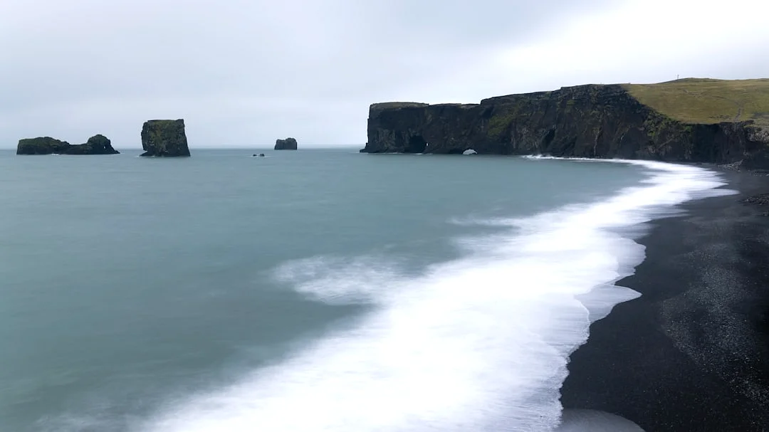 life cycles career progress How Do Life Cycles Affect Career Progress? chinese metaphysics illustration zen style