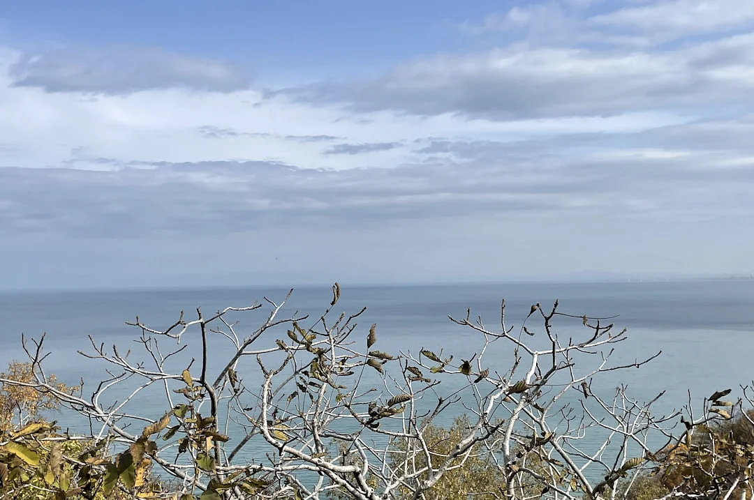 Cambio de la Estrella de la Riqueza en el Tiempo Cómo los Estrellas de la Riqueza Evolucionan con el Tiempo en Bazi chinese metaphysics illustration zen style