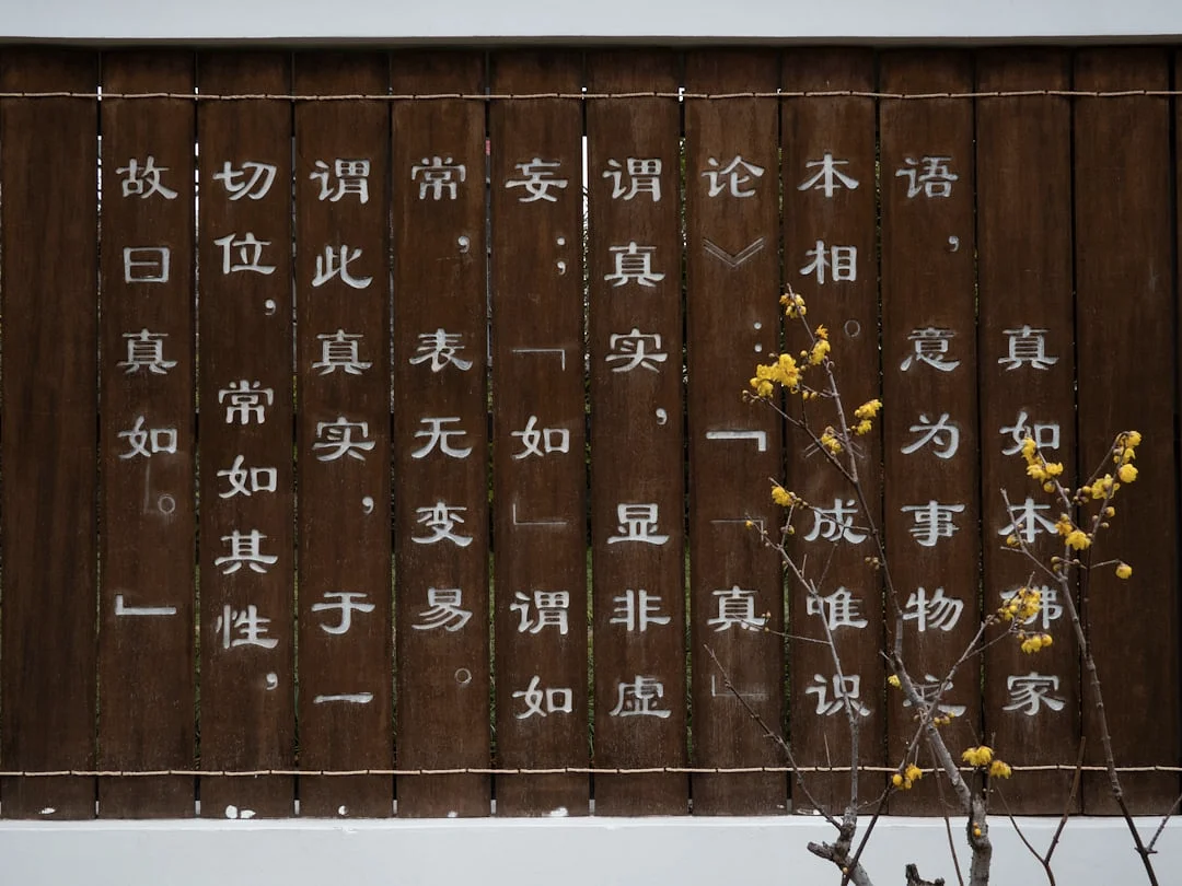 Bazi Financial Strength How Does Bazi Reveal Your Financial Strength? chinese metaphysics illustration abstract energy