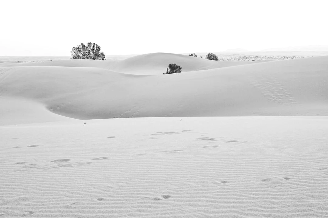 Bazi element communication style How Does Your Element Shape Your Communication Style? chinese metaphysics illustration abstract energy