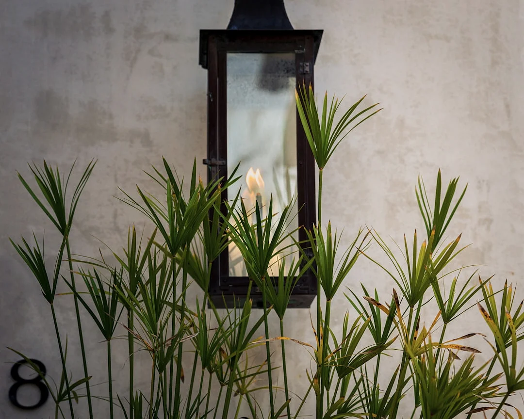 Símbolos de Bazi Descubre los Secretos de Bazi: Los Símbolos más Importantes Explicados chinese metaphysics illustration zen style