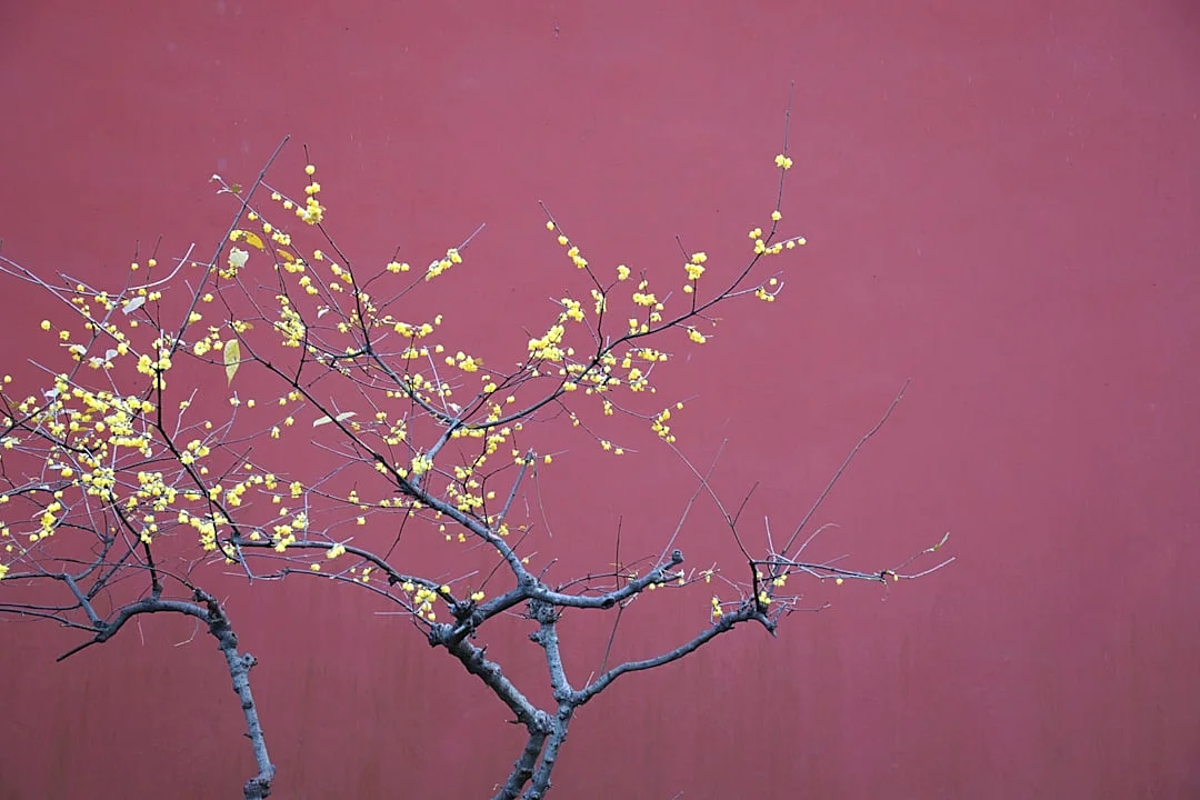 Bazi Patterns Creative Careers What Bazi Patterns Indicate Creative Careers? chinese metaphysics illustration zen style