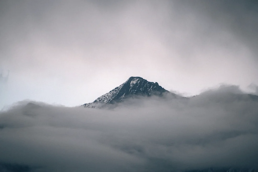 Signos Bazi para Alta Ambición Signos Bazi para Alta Ambición y Éxito chinese metaphysics illustration abstract energy