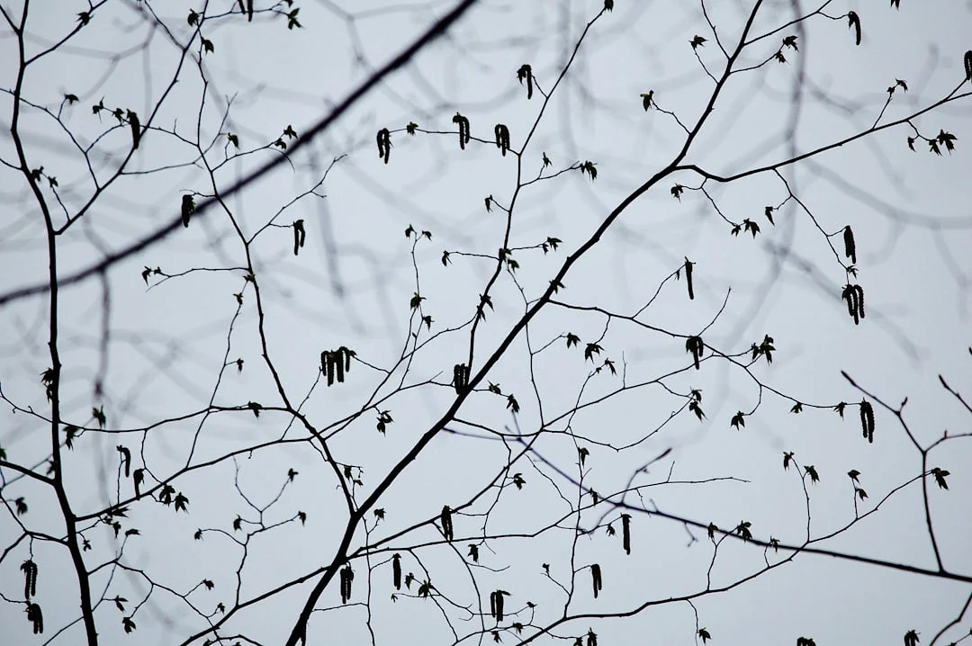 Bazi signs natural business talent What Bazi Signs Indicate Natural Business Talent? chinese metaphysics illustration abstract energy