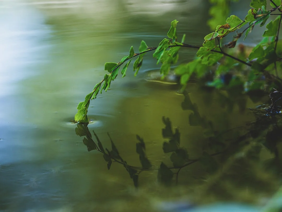 Cuatro Pilares en Bazi Comprender los Cuatro Pilares en Bazi: Significado y Importancia chinese metaphysics illustration abstract energy