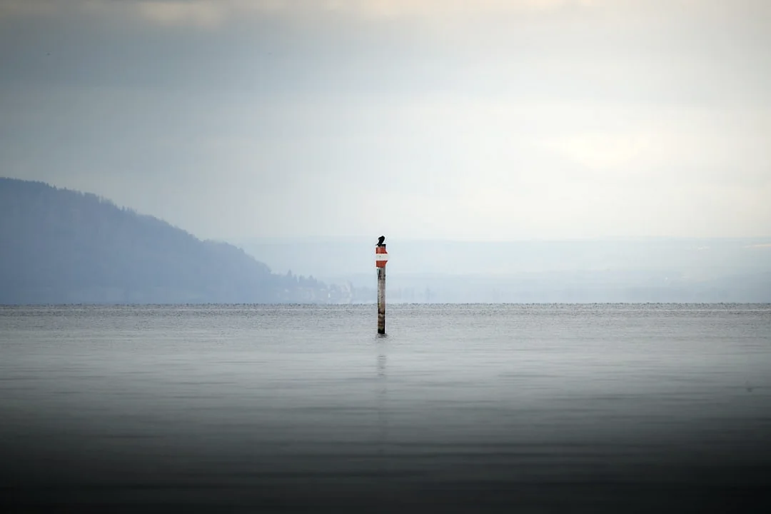 Bazi Chart What Information Can a Bazi Chart Reveal About Your Life? chinese metaphysics illustration abstract energy