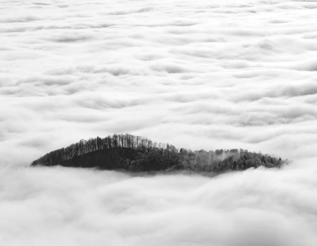 Bazi vs Astrología Occidental ¿Qué hace que Bazi sea diferente de la astrología occidental? chinese metaphysics illustration abstract energy