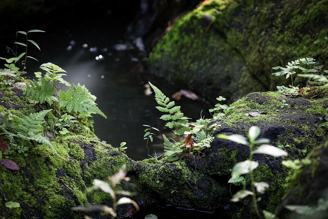 dominant elements in a chart What Makes Some Elements More Dominant in a Chart? chinese metaphysics illustration zen style