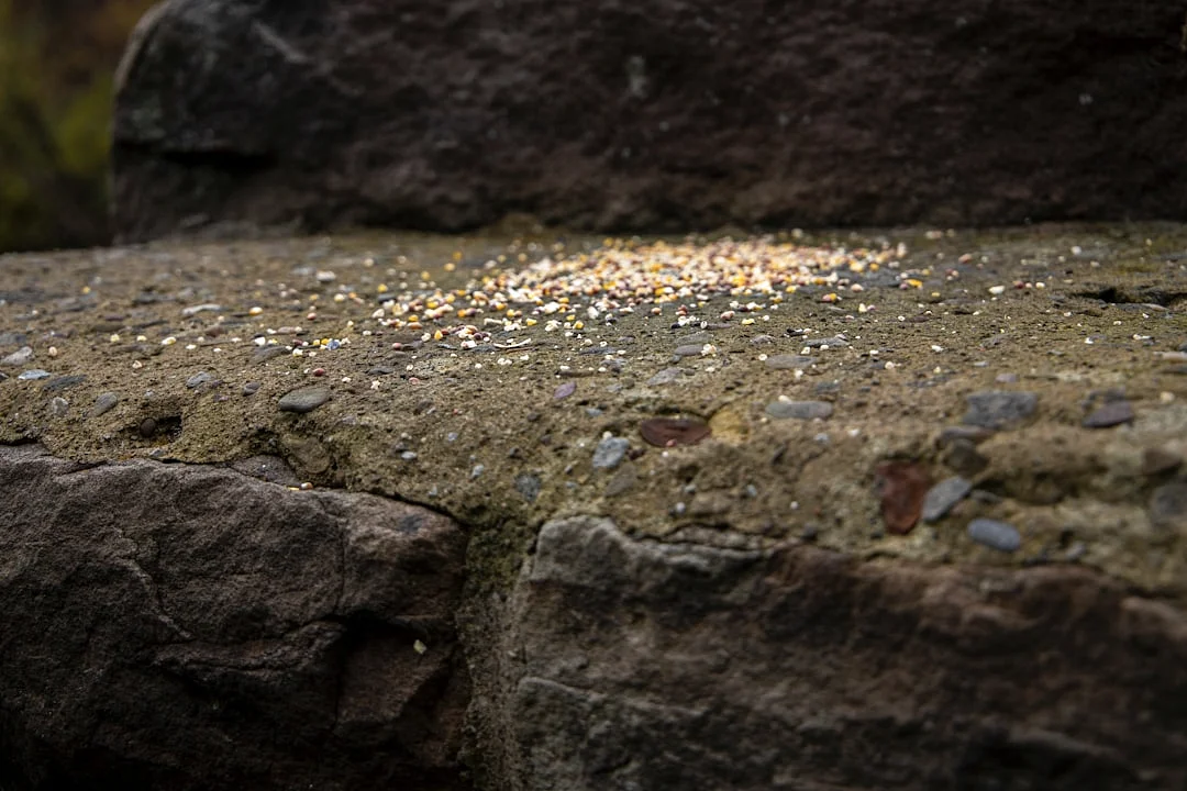 ciclos de la suerte éxito financiero Ciclos de la suerte en el éxito financiero: Comprender el papel chinese metaphysics illustration zen style