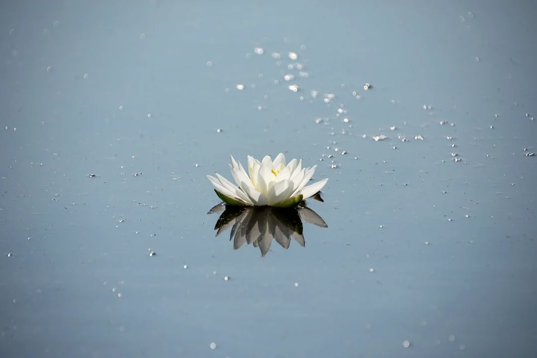 Hora del Nacimiento en Bazi Entendiendo la Hora del Nacimiento en Bazi: Desbloquear el Destino chinese metaphysics illustration abstract energy