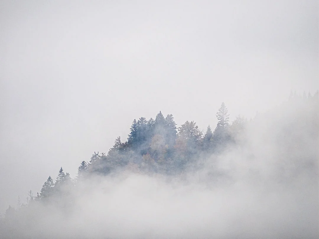 ¿Por qué algunos gráficos muestran un potencial de riqueza fuerte? Desbloquear el potencial de riqueza con gráficos de Bazi chinese metaphysics illustration zen style