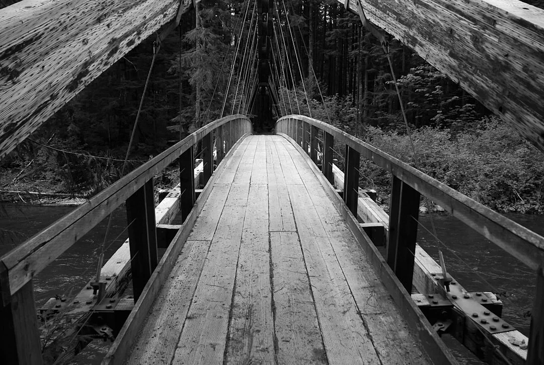 cambios de carrera Comprender cambios de carrera: Por qué la gente cambia de trabajo con frecuencia chinese metaphysics illustration abstract energy