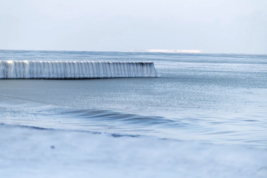 Florcer Bajo Presión Florcer en la Presión: Los Secretos de la Resiliencia chinese metaphysics illustration zen style