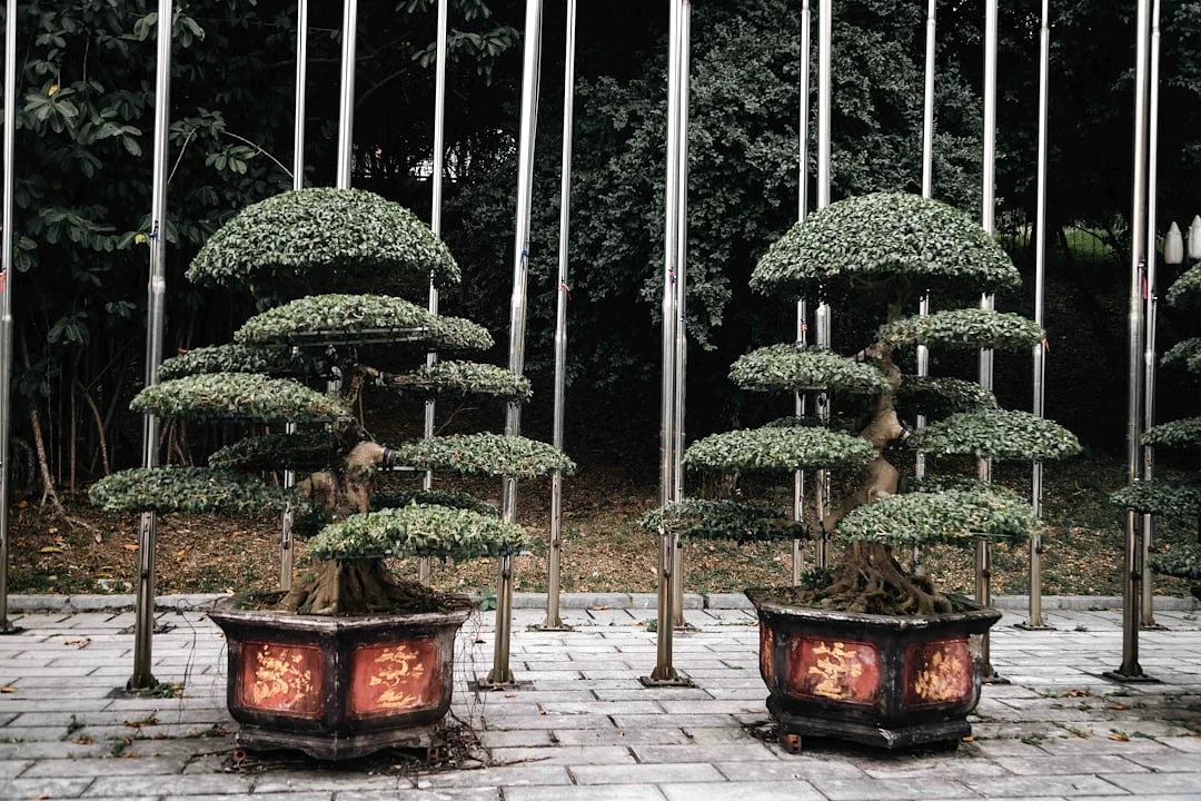 Los Cuatro Pilares del Destino ¿Por qué Bazi se llama los Cuatro Pilares del Destino chinese metaphysics illustration abstract energy