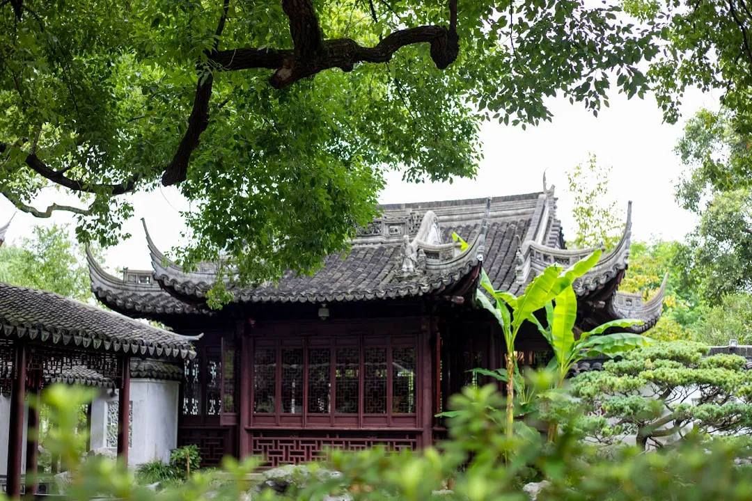 Reglas Más Poderosas Feng Shui Hogar